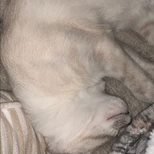 Meet your Posher, Laura